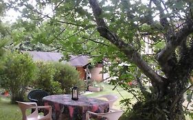 Gite L'Appel De La Foret